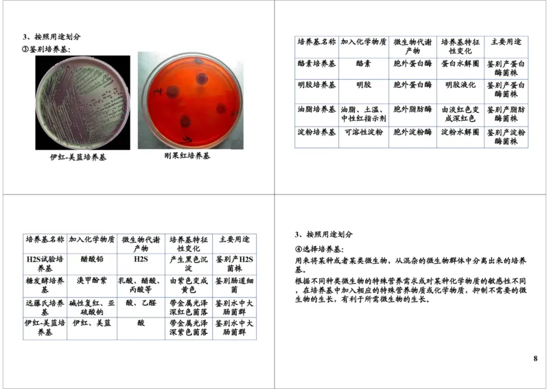 《微生物培养与应用技术（一）（一轮下）-7b6bc4b67b4e_学而思高三全套_高三录播课程各种版本_高三一轮二轮_29709-56高考生物一轮总复习（必修+选修1、3）》第8页预览