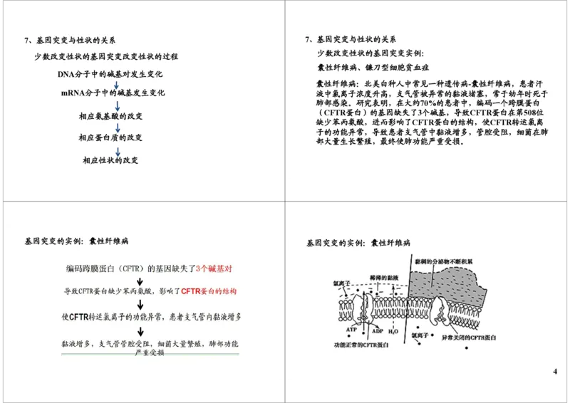 《生物变异-基因突变与重组-2bc8f0cafe97_学而思高三全套_高三录播课程各种版本_高三一轮二轮_29709-56高考生物一轮总复习（必修+选修1、3）》第4页预览