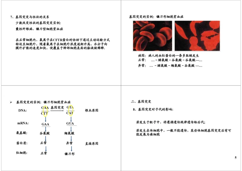 《生物变异-基因突变与重组-2bc8f0cafe97_学而思高三全套_高三录播课程各种版本_高三一轮二轮_29709-56高考生物一轮总复习（必修+选修1、3）》第5页预览
