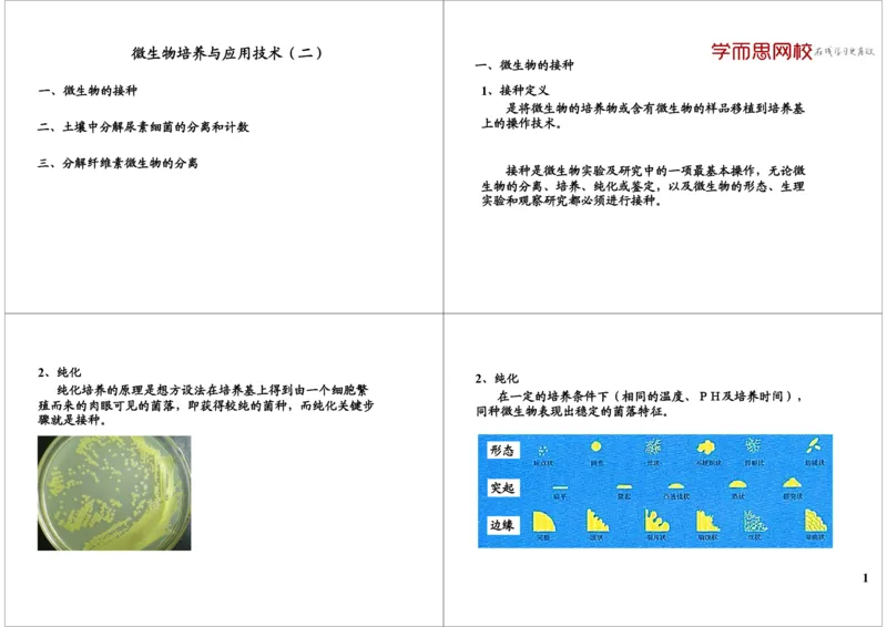 《微生物培养与应用技术（二）（一轮下）-d2b4701d2d39_学而思高三全套_高三录播课程各种版本_高三一轮二轮_29709-56高考生物一轮总复习（必修+选修1、3）》第1页预览