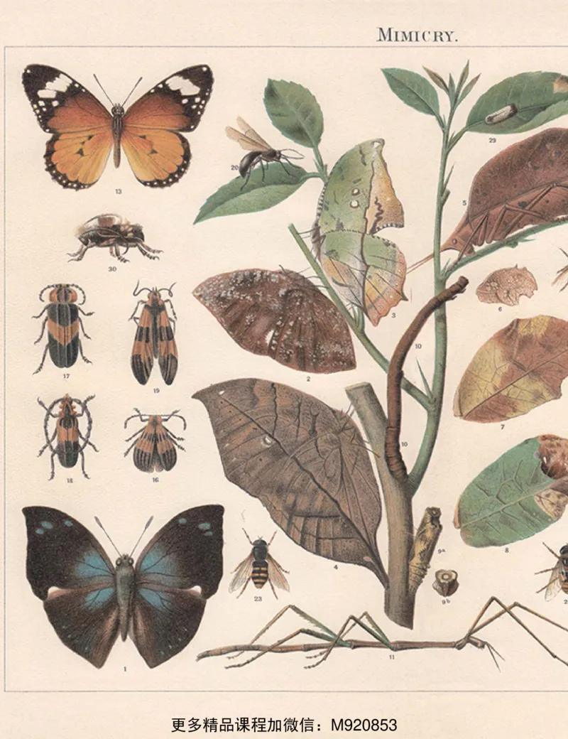 《wx_11220323470086-初一生物全国A加讲义1-正文-1651892685965(1)-f1bb68c7f70b_学而思初中1年级_2022春初一_初一春季科学全国版A+庞艳霞杜春雨完结》第8页预览