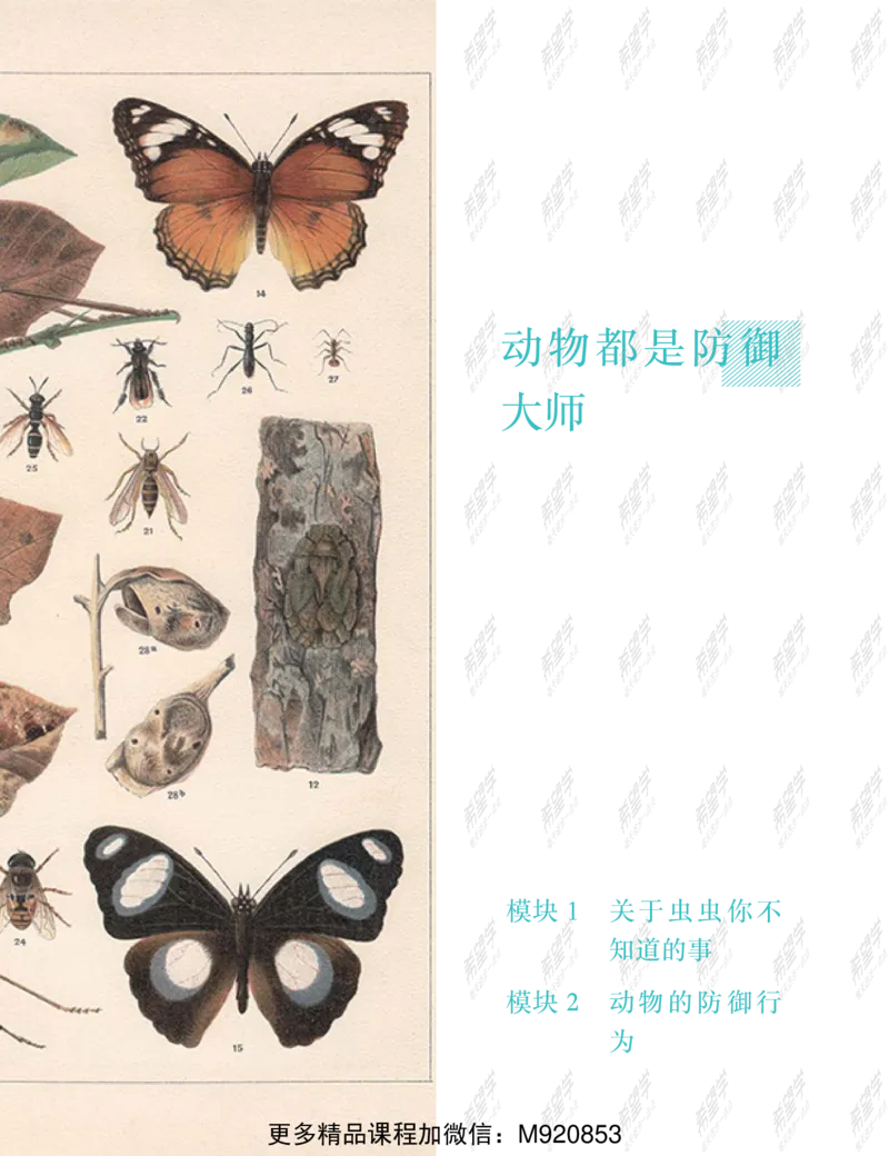 《wx_11220323470086-初一生物全国A加讲义1-正文-1651892685965(1)-f1bb68c7f70b_学而思初中1年级_2022春初一_初一春季科学全国版A+庞艳霞杜春雨完结》第9页预览