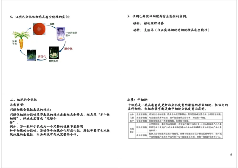 《细胞增殖-细胞的分化、癌变、衰老、凋亡-af05ba48e53f_学而思高三全套_高三录播课程各种版本_高三一轮二轮_29709-56高考生物一轮总复习（必修+选修1、3）》第5页预览
