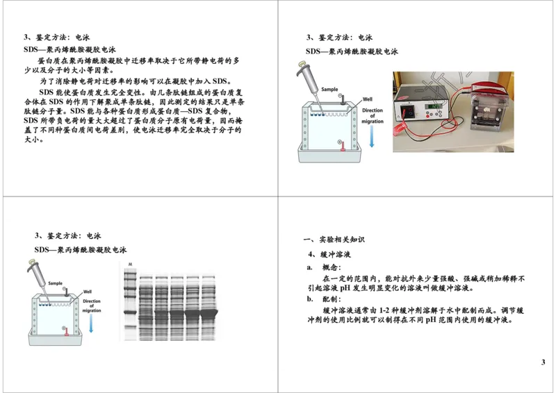 《蛋白质的提取与鉴定（一轮下）-e14fd27fb9e8_学而思高三全套_高三录播课程各种版本_高三一轮二轮_29709-56高考生物一轮总复习（必修+选修1、3）》第3页预览