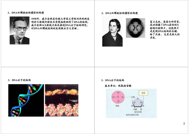 《基因的本质与功能-DNA的结构及复制-02c0fab3e58e_学而思高三全套_高三录播课程各种版本_高三一轮二轮_29709-56高考生物一轮总复习（必修+选修1、3）》第2页预览