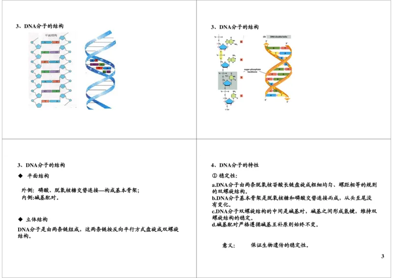 《基因的本质与功能-DNA的结构及复制-02c0fab3e58e_学而思高三全套_高三录播课程各种版本_高三一轮二轮_29709-56高考生物一轮总复习（必修+选修1、3）》第3页预览