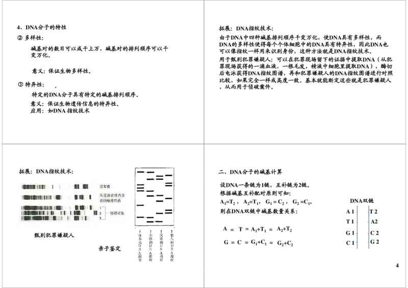 《基因的本质与功能-DNA的结构及复制-02c0fab3e58e_学而思高三全套_高三录播课程各种版本_高三一轮二轮_29709-56高考生物一轮总复习（必修+选修1、3）》第4页预览