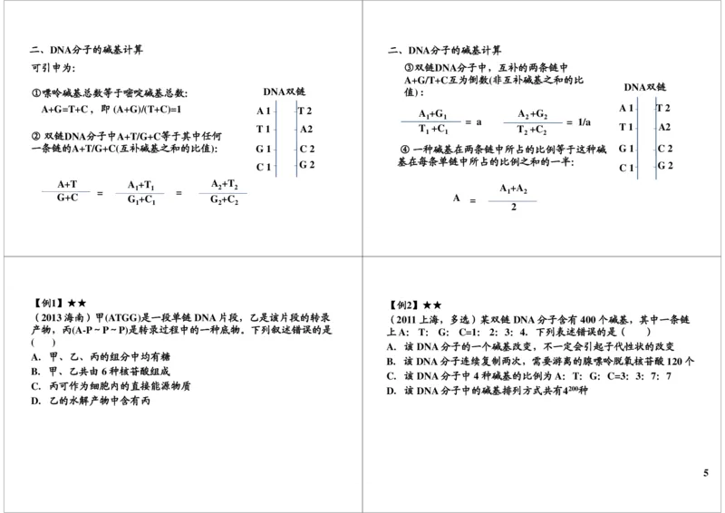 《基因的本质与功能-DNA的结构及复制-02c0fab3e58e_学而思高三全套_高三录播课程各种版本_高三一轮二轮_29709-56高考生物一轮总复习（必修+选修1、3）》第5页预览
