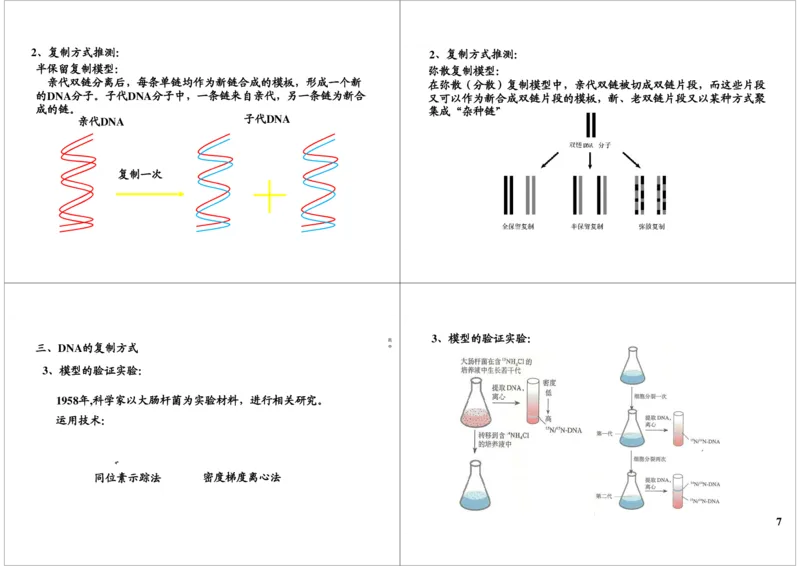 《基因的本质与功能-DNA的结构及复制-02c0fab3e58e_学而思高三全套_高三录播课程各种版本_高三一轮二轮_29709-56高考生物一轮总复习（必修+选修1、3）》第7页预览