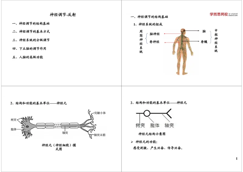 《神经调节-反射（一轮下）-74e620e56de3_学而思高三全套_高三录播课程各种版本_高三一轮二轮_29709-56高考生物一轮总复习（必修+选修1、3）_第29讲：神经调节-反射（一轮下）》第1页预览