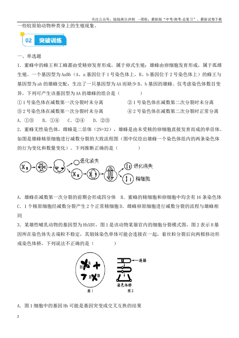 《尖子生突破05细胞的特殊分裂方式（原卷版）_06-生物-高考总复习_专项复习_2024年_2024年高考生物重难点突破精讲_资料》第2页预览