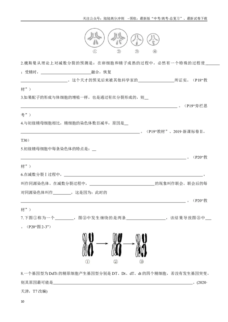 《必修2遗传与进化（填空版）-62页_06-生物-高考总复习_专项复习_2025年_2025年高考生物回归教材长句训练必背大全_资料》第10页预览