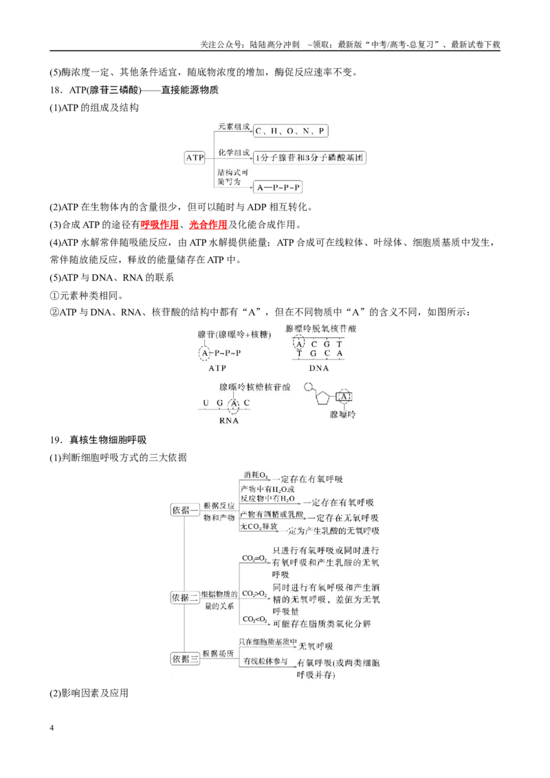 《必修1分子与细胞-8页（背诵版）重点知识天天背_06-生物-高考总复习_专项复习_2025年_2025年高考生物知识清单判断题课件重点知识梳理选修必修_必修1分子与细胞》第4页预览