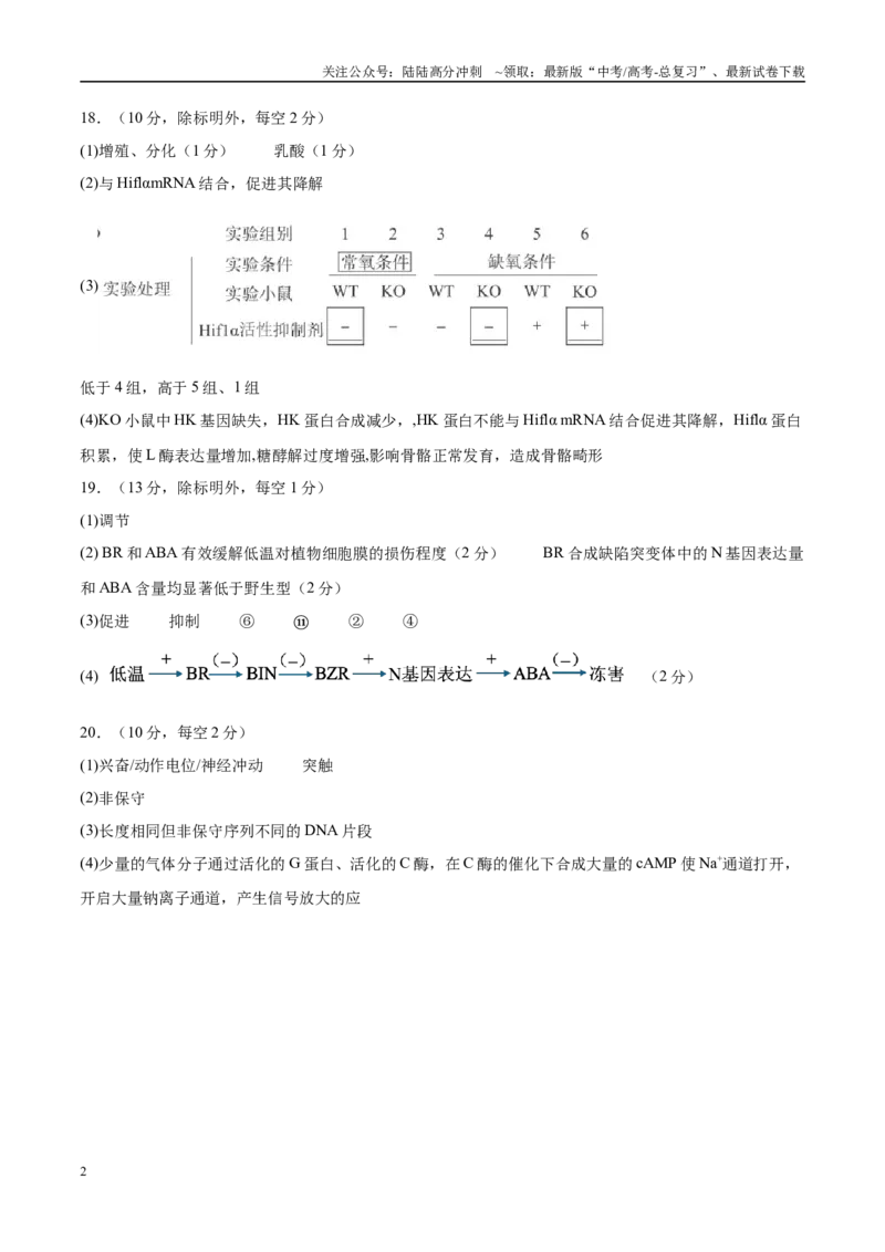 《模拟卷01（重庆专用）（参考答案）_06-生物-高考总复习_专项复习_2025年_2025年高考生物模拟卷（重庆专用）4套》第2页预览