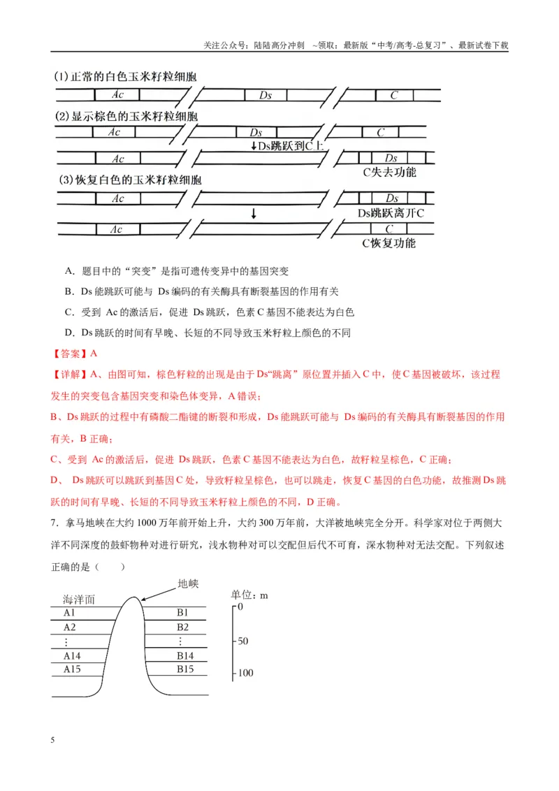 《模拟卷03（重庆专用）（解析版）_06-生物-高考总复习_专项复习_2025年_2025年高考生物模拟卷（重庆专用）4套》第5页预览