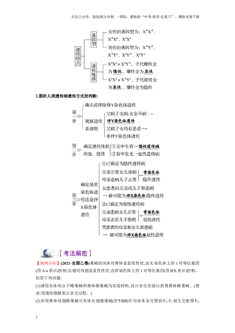 《解密12伴性遗传与人类遗传病（讲义)-高频考点解密2023年高考生物二轮复习讲义+分层训练（新教材）_06-生物-高考总复习_二轮复习_2024年_资料》第3页预览