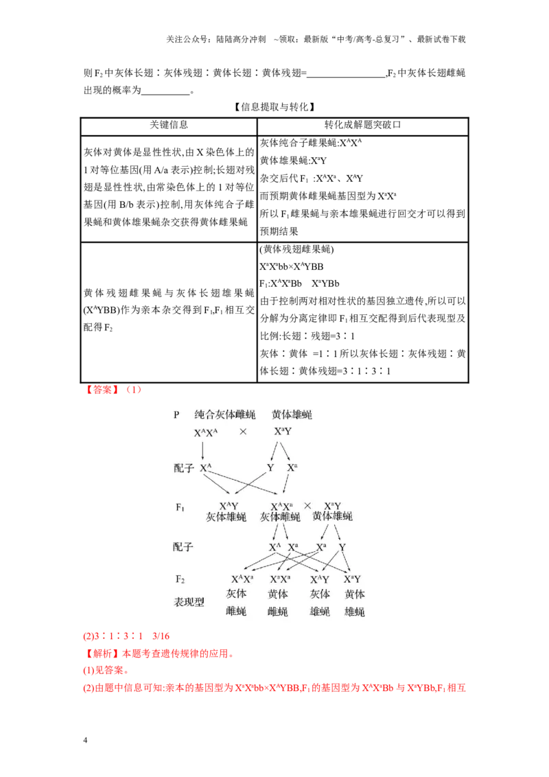 《解密12伴性遗传与人类遗传病（讲义)-高频考点解密2023年高考生物二轮复习讲义+分层训练（新教材）_06-生物-高考总复习_二轮复习_2024年_资料》第4页预览