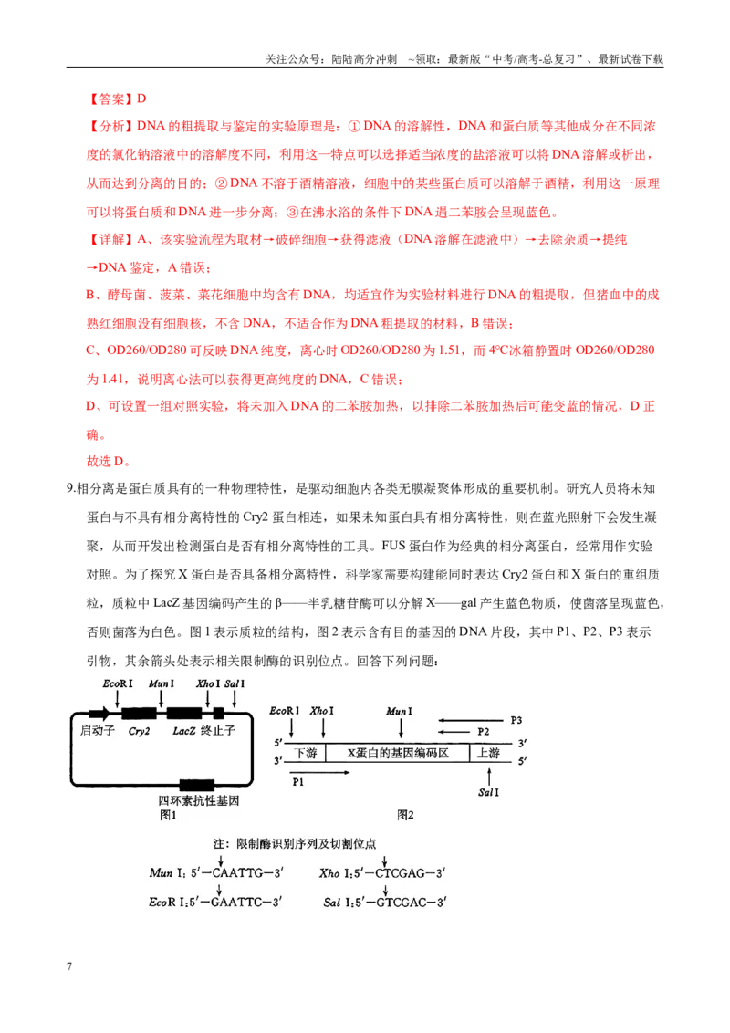 《押题10生物技术综合应用（4大题型猜押）（教师版）_06-生物-高考总复习_专项复习_2025年_2025年高考生物抢押秘籍（安徽专用）》第7页预览