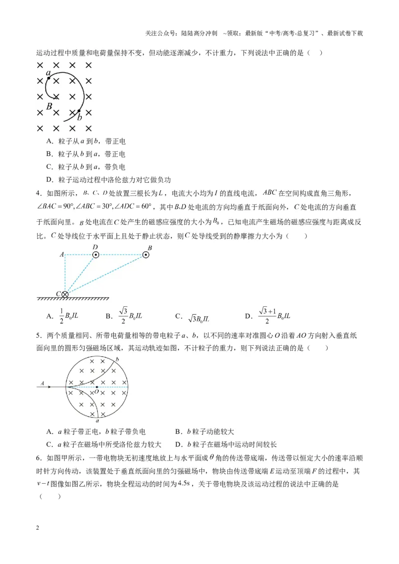 《测试11（学生版）_04-物理-高考总复习_一轮复习_2025年_2025年高考物理一轮复习讲义+练习+课件（新教材新高考）_第十一章磁场》第2页预览