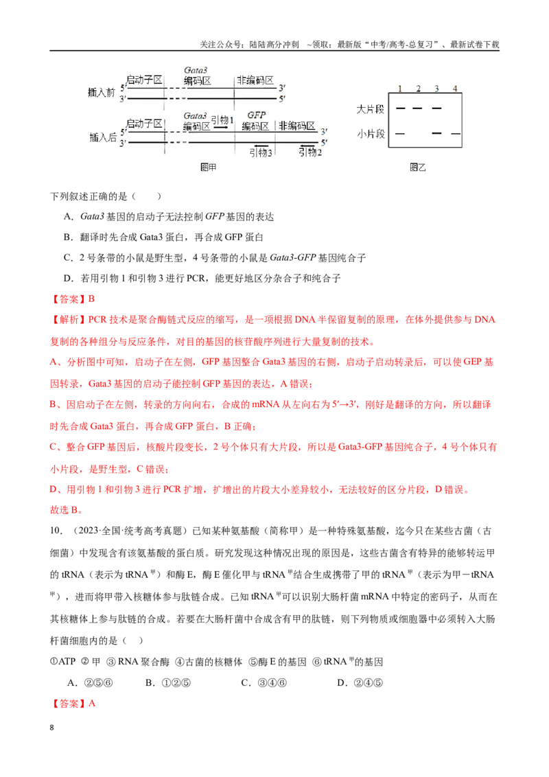 《必刷06基因的表达及异常状况（共50题）（解析版）_06-生物-高考总复习_专项复习_2024年_2024年新高考生物总复习高频考点必刷题真题模拟题_资料》第8页预览