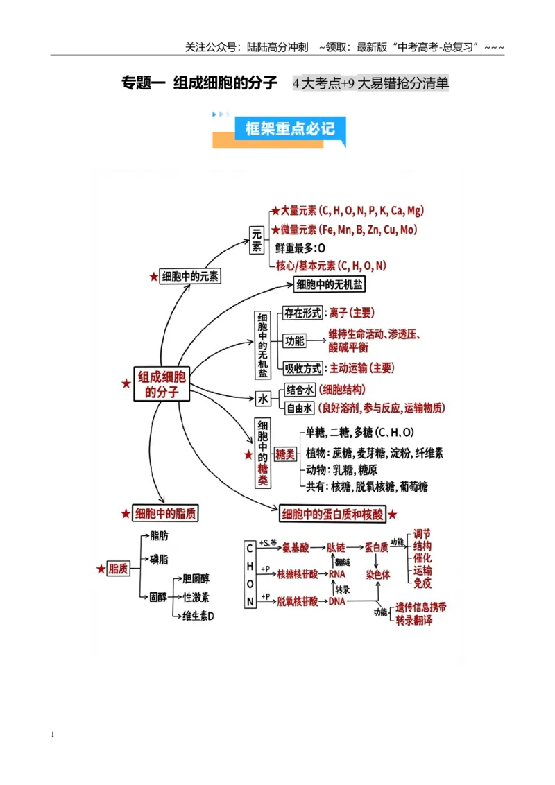 《抢分清单01组成细胞的分子（4大考点+9大易错）（核心知识必背）_06-生物-高考总复习_专项复习_2026年-生物高考专项复习_2026年高考生物抢分秘籍（新高考专用）-G221_2026版》第1页预览