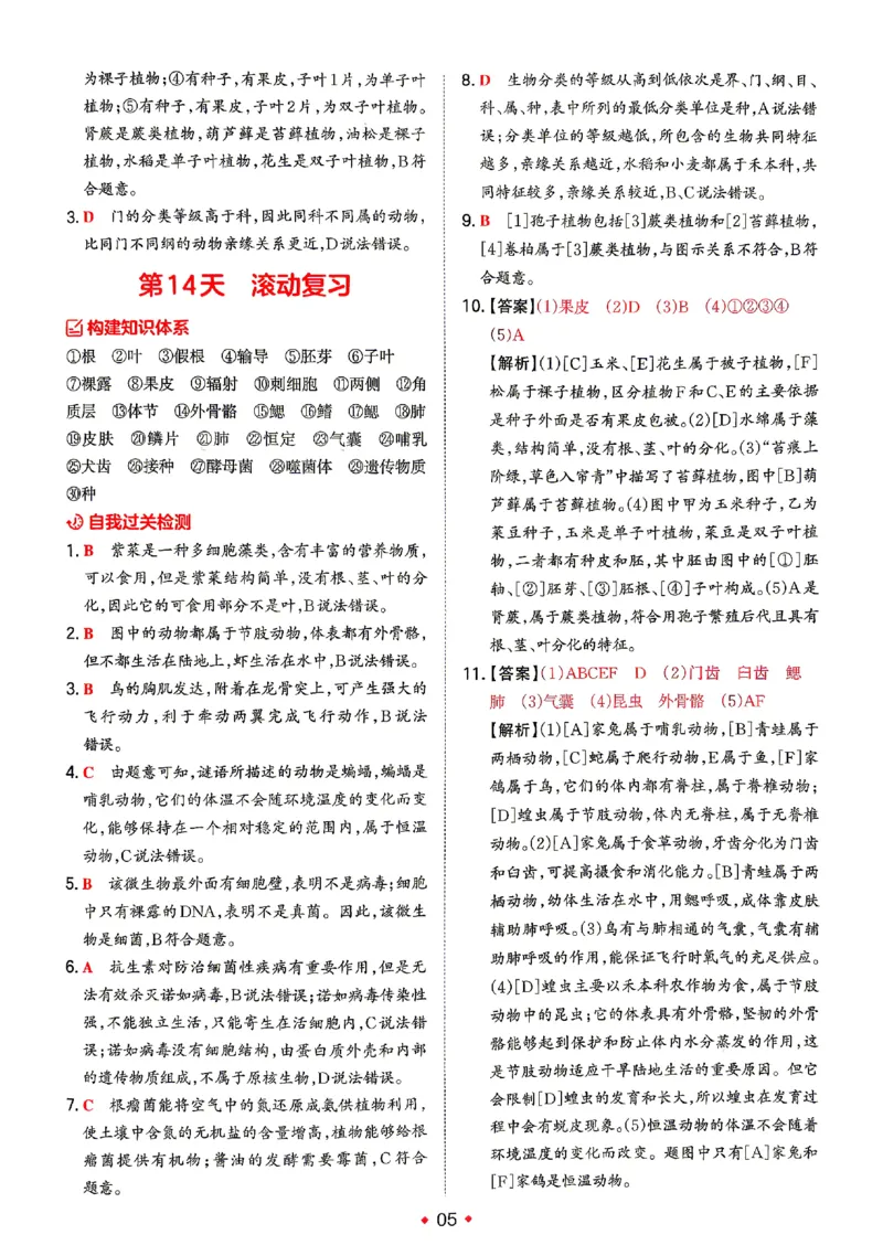 《2026秋《一本•预备新初一》小四门答案_2027版初中《一本预备新初一》小四门》第8页预览