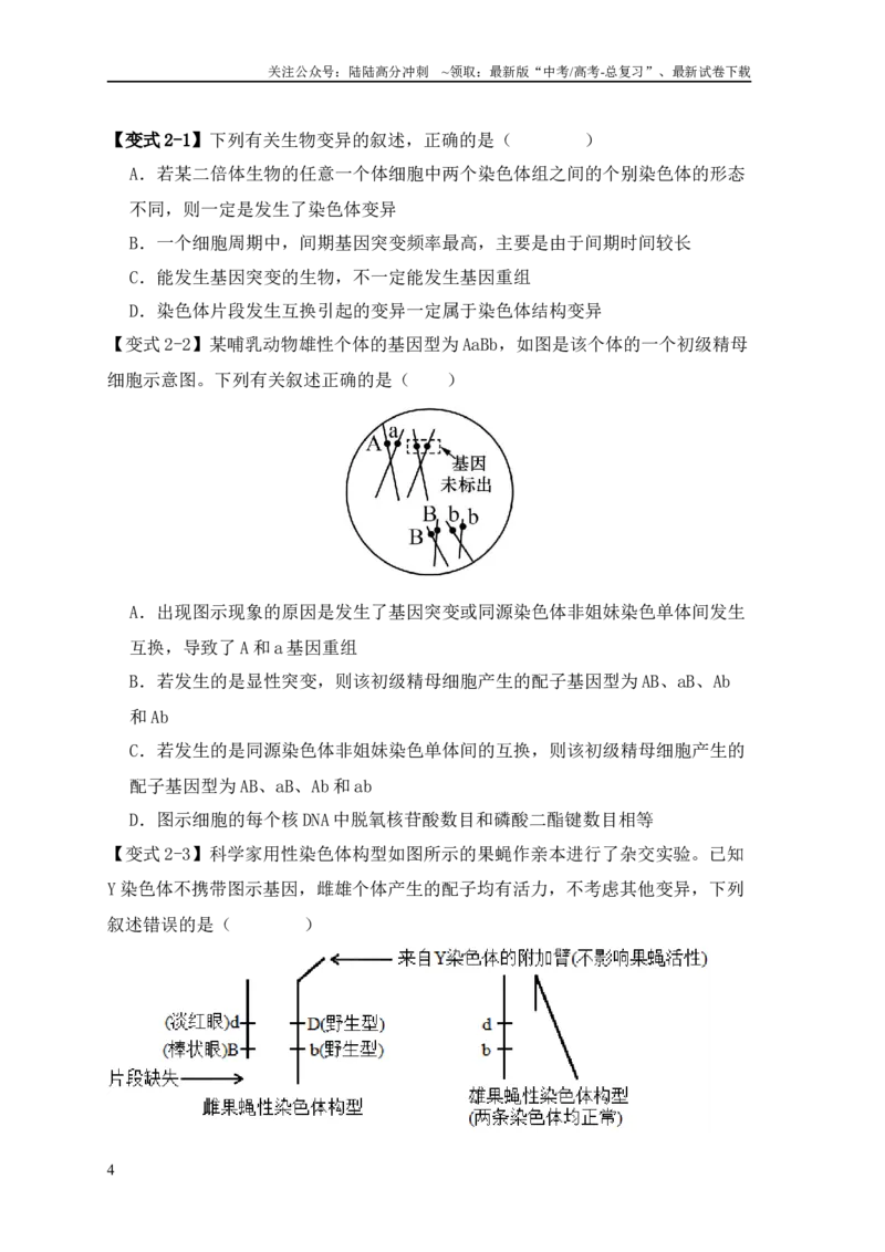 《易错点10变异与进化的“四个”易混点（原卷版）_06-生物-高考总复习_专项复习_2024年_2024年高考生物考试易错题（新高考专用）》第4页预览