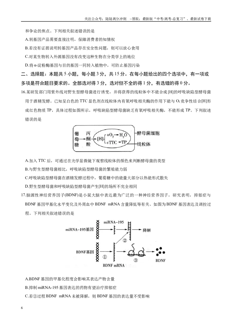 《模拟卷02（黑吉辽专用）（原卷版）_06-生物-高考总复习_专项复习_2025年_2025年高考生物模拟卷（黑吉辽专用）8套》第6页预览
