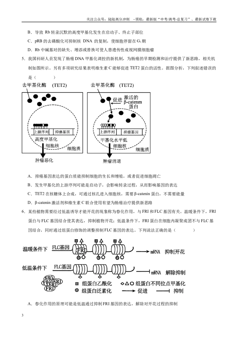 《押题04分子遗传学与基因工程（4大题型猜押）（学生版）_06-生物-高考总复习_专项复习_2025年_2025年高考生物抢押秘籍（安徽专用）》第3页预览