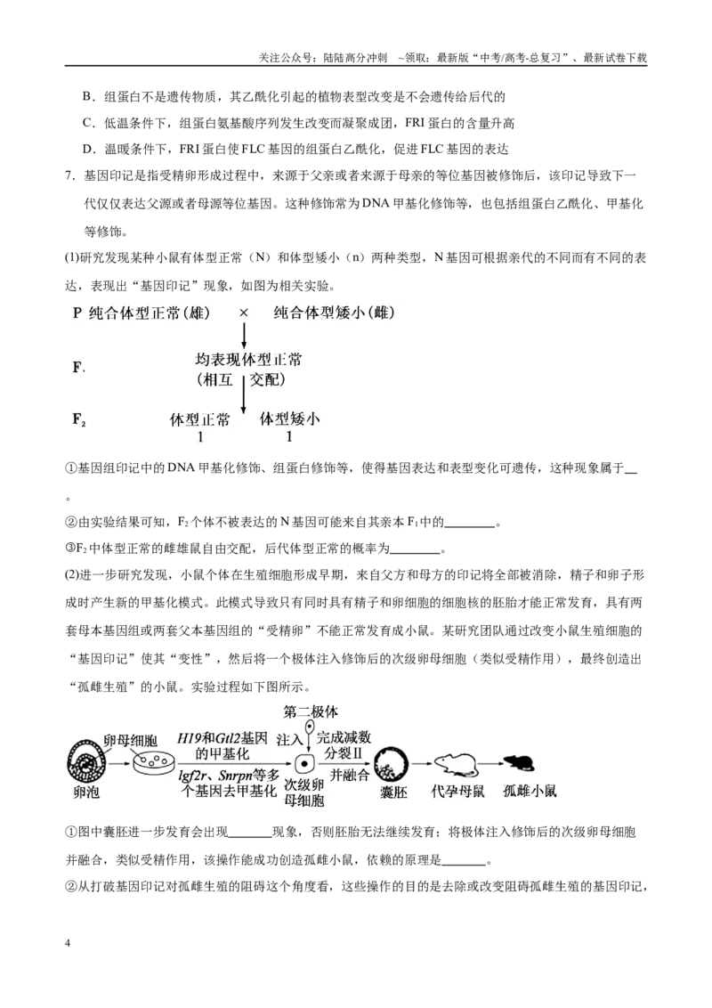 《押题04分子遗传学与基因工程（4大题型猜押）（学生版）_06-生物-高考总复习_专项复习_2025年_2025年高考生物抢押秘籍（安徽专用）》第4页预览