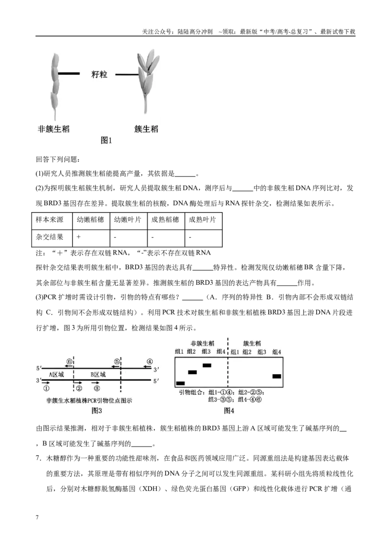 《押题04分子遗传学与基因工程（4大题型猜押）（学生版）_06-生物-高考总复习_专项复习_2025年_2025年高考生物抢押秘籍（安徽专用）》第7页预览