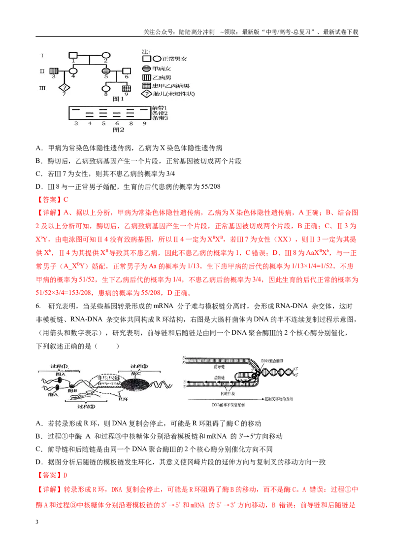 《模拟卷01（河北专用）（解析版）_06-生物-高考总复习_专项复习_2025年_2025年高考生物模拟卷（河北专用）4套》第3页预览