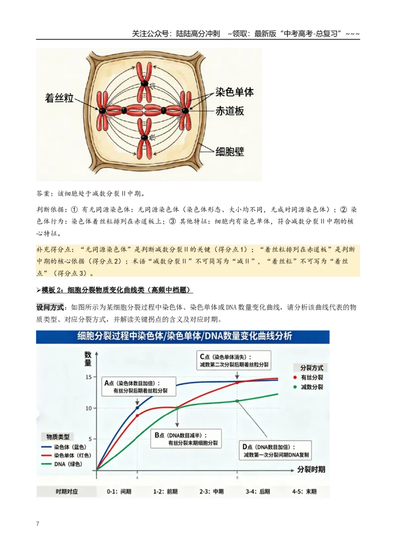 《抢分03有丝分裂和减数分裂（4大考向）（学生版）_06-生物-高考总复习_专项复习_2026年-生物高考专项复习_2026年高考生物终极冲刺讲练测（全国通用）-G459_2026版》第7页预览