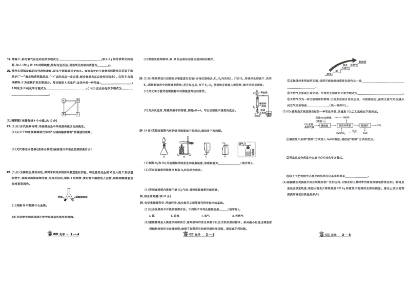 《化学（河南紫）_2027版初中《金考卷中考45套汇编》（化学）（河南紫版）》第7页预览