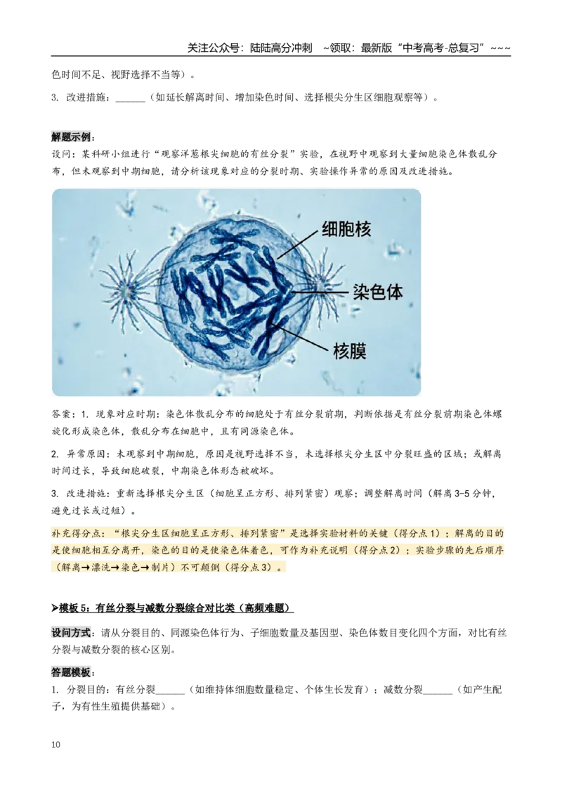 《抢分03有丝分裂和减数分裂（4大考向）（教师版）_06-生物-高考总复习_专项复习_2026年-生物高考专项复习_2026年高考生物终极冲刺讲练测（全国通用）-G459_2026版》第10页预览
