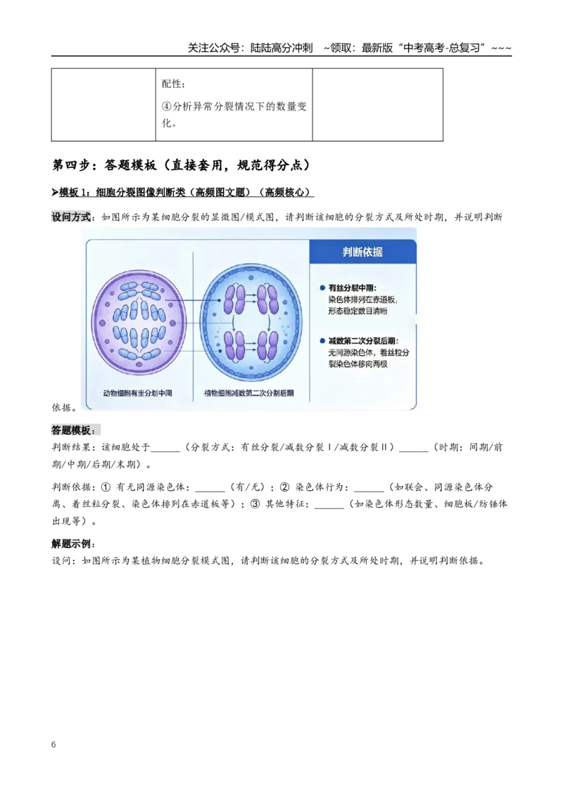 《抢分03有丝分裂和减数分裂（4大考向）（教师版）_06-生物-高考总复习_专项复习_2026年-生物高考专项复习_2026年高考生物终极冲刺讲练测（全国通用）-G459_2026版》第6页预览