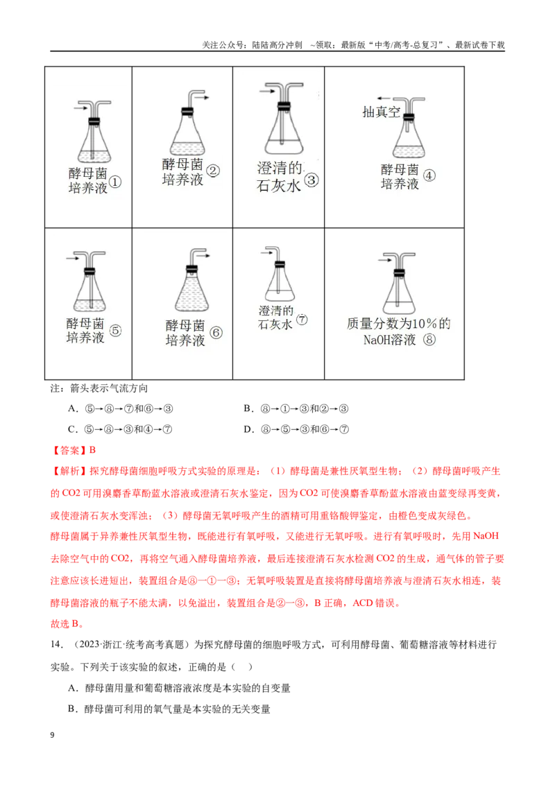 《必刷04细胞的能量供应和利用（70题）（解析版）_06-生物-高考总复习_专项复习_2024年_2024年新高考生物总复习高频考点必刷题真题模拟题_资料》第9页预览