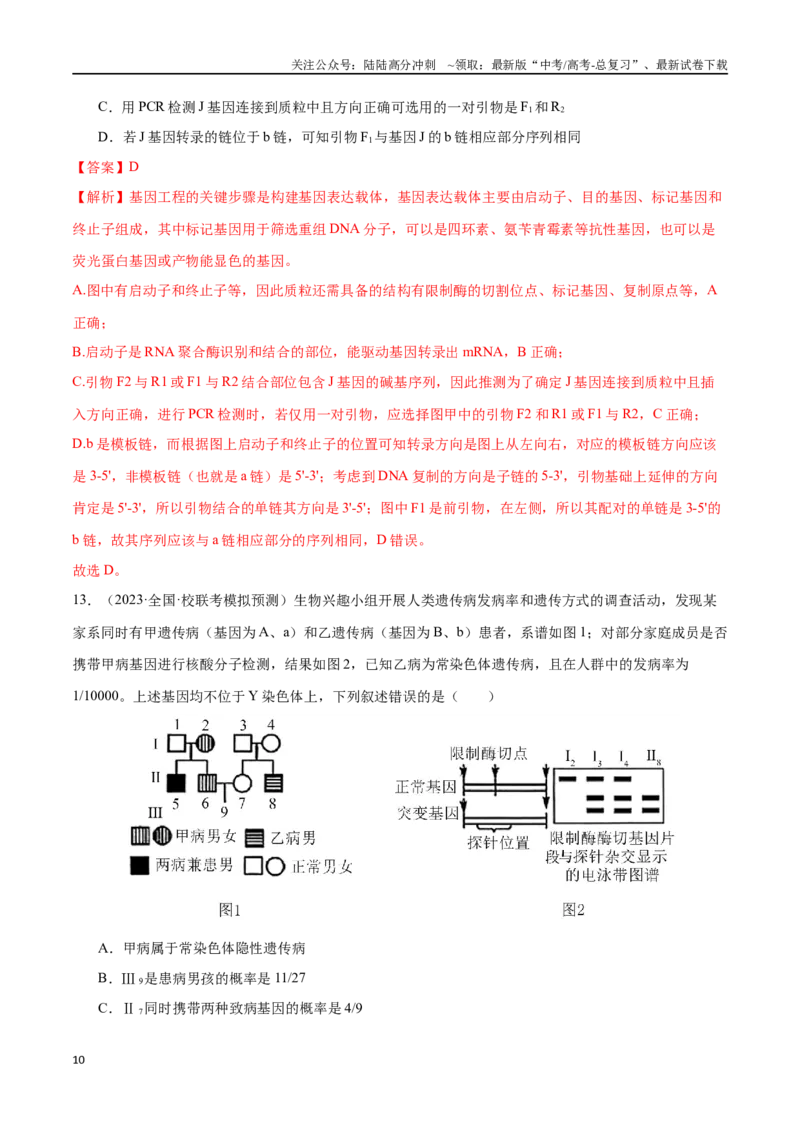 《必刷12基因工程（共50题）（解析版）_06-生物-高考总复习_专项复习_2024年_2024年新高考生物总复习高频考点必刷题真题模拟题_资料》第10页预览