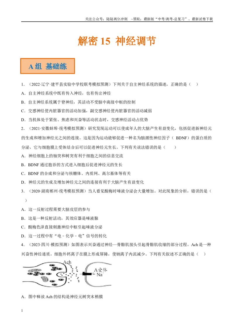 《解密15神经调节（分层训练）（原卷版）_06-生物-高考总复习_二轮复习_2024年_2024年新教材高考生物二轮复习讲义分层训练题考点_资料》第1页预览