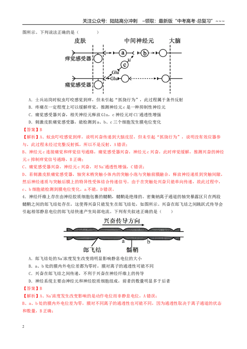 《模块检测卷3稳态与调节（综合训练）（教师版）（全国通用）_06-生物-高考总复习_一轮复习_2026年-生物高考一轮复习_2026年高考生物一轮复习讲义+练习+课件（新教材新高考）-G55_2026版》第2页预览