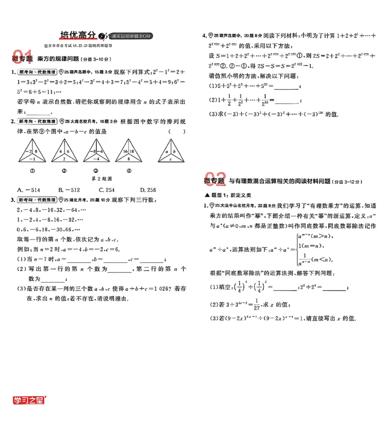 《专题卷A4（2列）_26秋小学初中各机构教辅大合集（一本、教材帮、阳光同学、王朝霞、实验班、小典中点、上分卷、白欧、课堂笔记等等）_26秋初中教辅资料_26秋《学习之星》系列》第10页预览