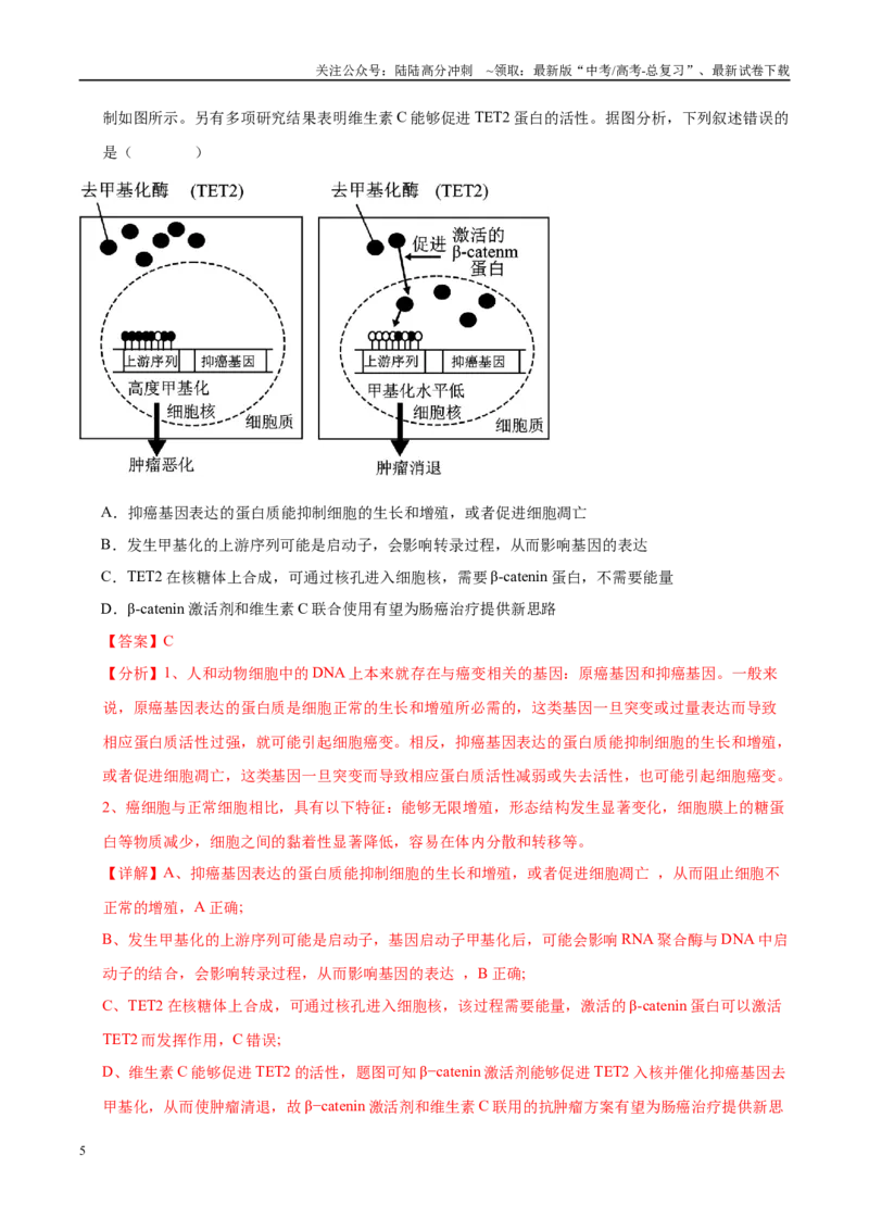 《押题04分子遗传学与基因工程（4大题型猜押）（教师版）_06-生物-高考总复习_专项复习_2025年_2025年高考生物抢押秘籍（安徽专用）》第5页预览