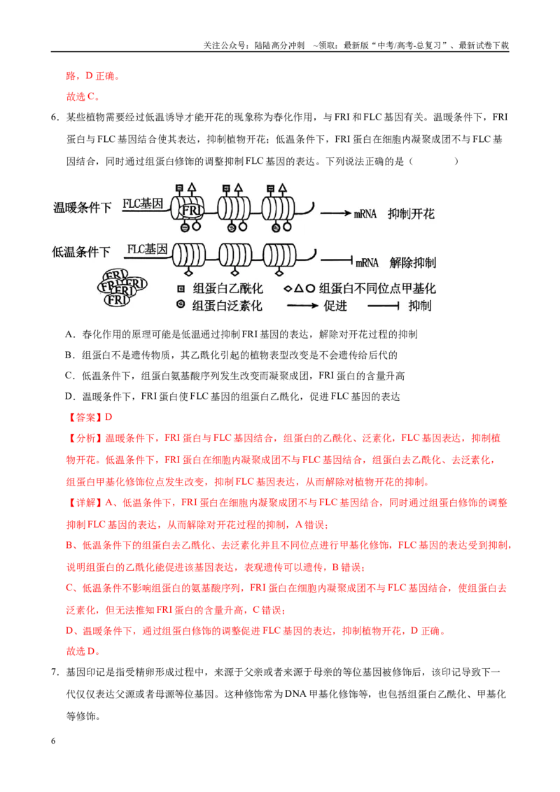 《押题04分子遗传学与基因工程（4大题型猜押）（教师版）_06-生物-高考总复习_专项复习_2025年_2025年高考生物抢押秘籍（安徽专用）》第6页预览