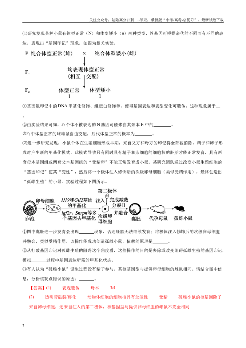 《押题04分子遗传学与基因工程（4大题型猜押）（教师版）_06-生物-高考总复习_专项复习_2025年_2025年高考生物抢押秘籍（安徽专用）》第7页预览