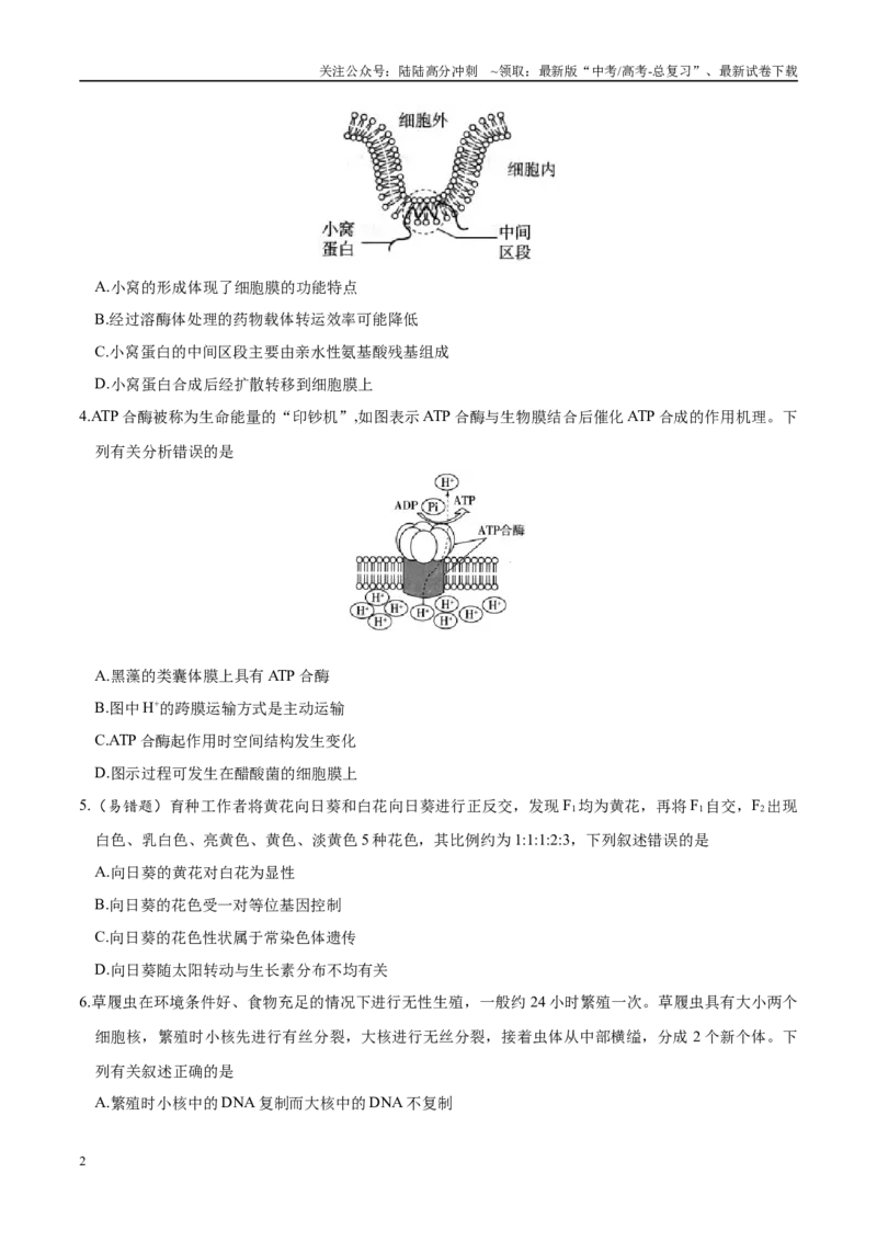 《模拟卷03（黑吉辽专用）（原卷版）_06-生物-高考总复习_专项复习_2025年_2025年高考生物模拟卷（黑吉辽专用）8套》第2页预览