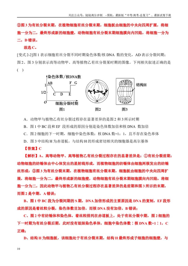 《易错点07细胞有丝分裂与减数分裂易错对比(过程、图表、图象)（6大陷阱）（教师版）_06-生物-高考总复习_专项复习_2025年_2025年高考生物考试易错题（新高考通用）》第10页预览