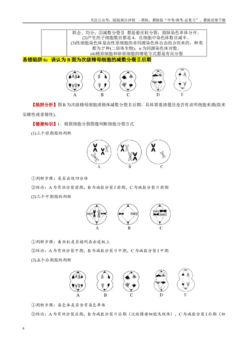 《易错点07细胞有丝分裂与减数分裂易错对比(过程、图表、图象)（6大陷阱）（教师版）_06-生物-高考总复习_专项复习_2025年_2025年高考生物考试易错题（新高考通用）》第4页预览