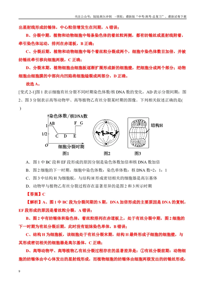 《易错点07细胞有丝分裂与减数分裂易错对比(过程、图表、图象)（6大陷阱）（教师版）_06-生物-高考总复习_专项复习_2025年_2025年高考生物考试易错题（新高考通用）》第9页预览