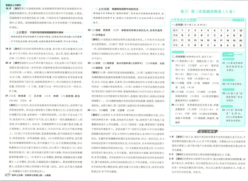 《答案_2027版初中《必刷题上分卷》7年级上册（生物）（人教）》第4页预览
