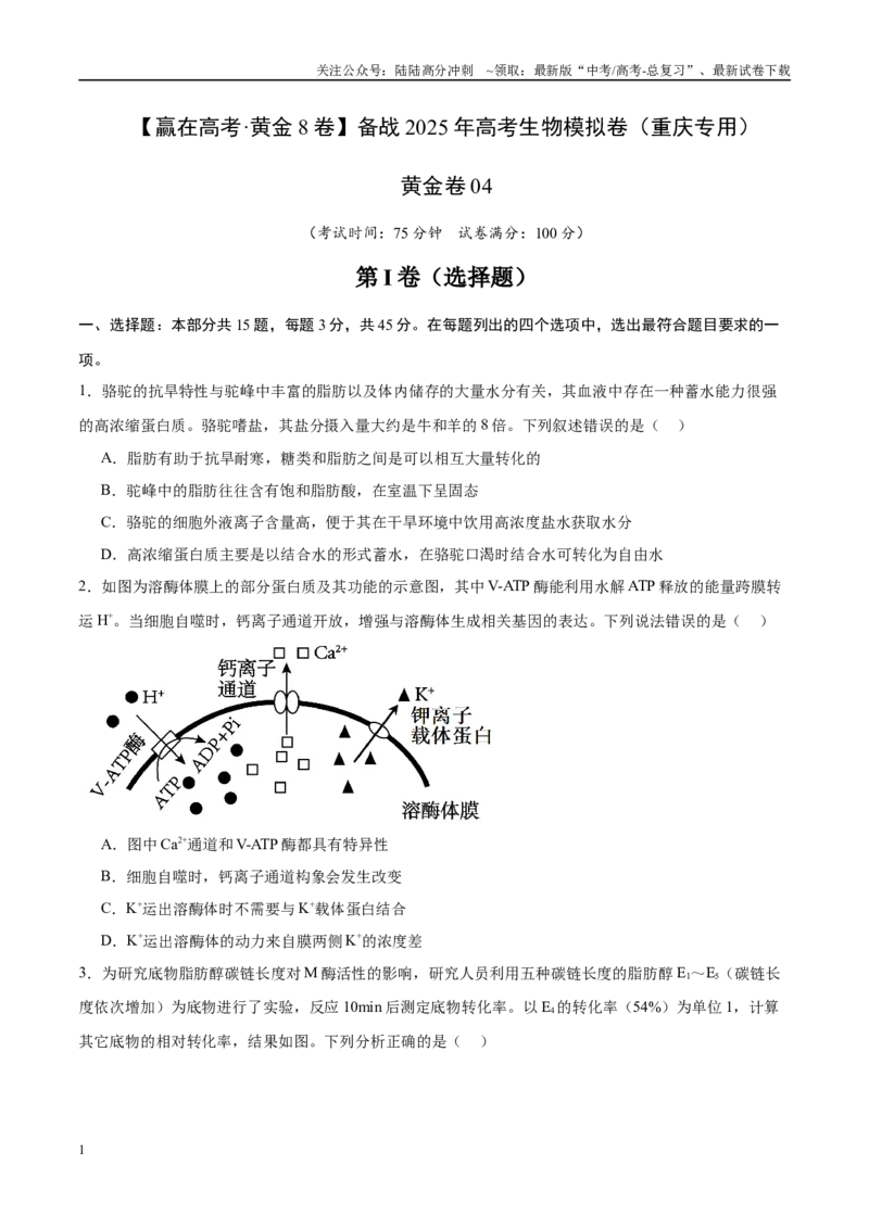 《模拟卷04（重庆专用）（考试版）_06-生物-高考总复习_专项复习_2025年_2025年高考生物模拟卷（重庆专用）4套》第1页预览